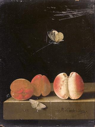 Still life with Peach and Two Apricots