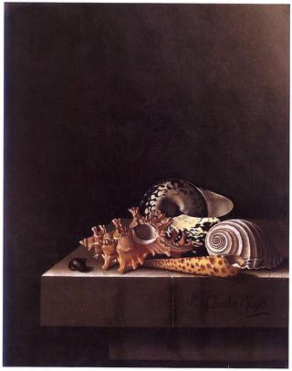 Still Life with Shells
