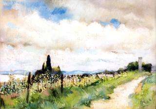Hillside Path in Spring