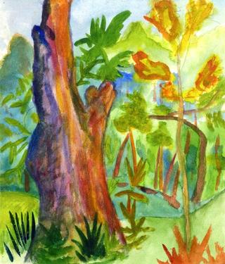 Landscape