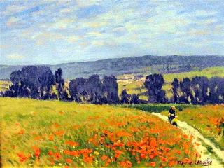 Poppy Field