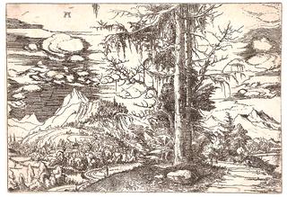 Landscape with a Double Spruce in the Foreground