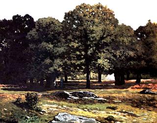 Chestnuts Tree Alley in La Celle-Saint-Cloud