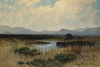 In a Donegal Bog