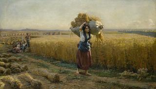 Wheat