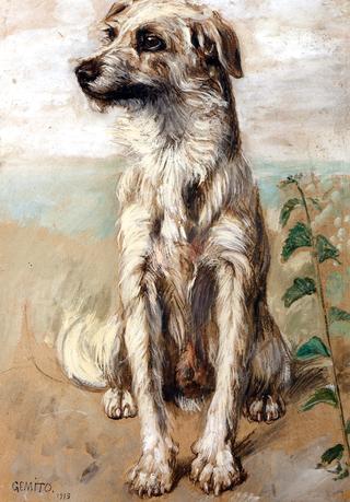 A Seated Dog