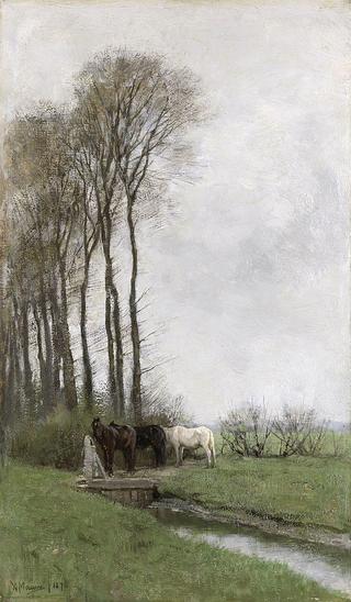 Horses at the Fence