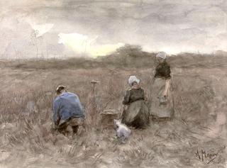 Potato Harvesters