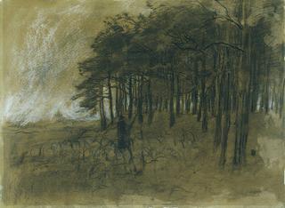 Forest Edge