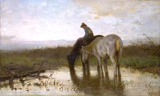 Drinking Horses
