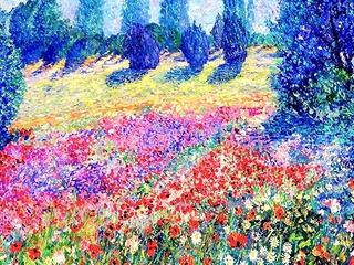 Poppies