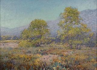 Texas Hill Country