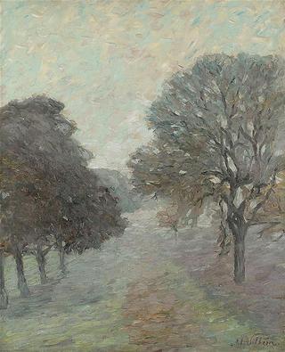Fog in Autumn