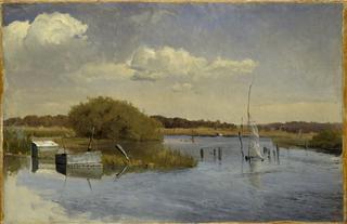 The Shore at Ringsjön