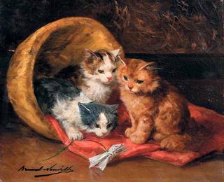 three kittens with a new toy