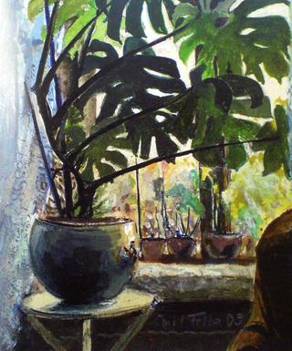 Window