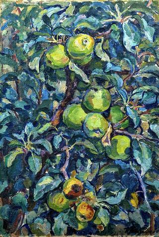 Apples on a Branch