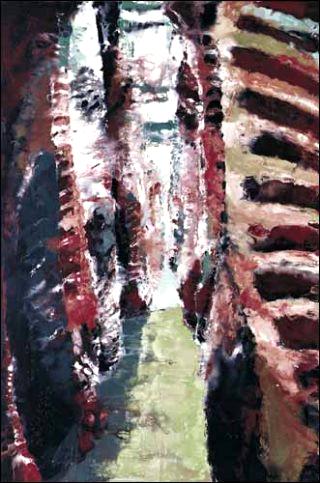 Carcasses