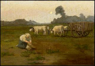 Harvest Time