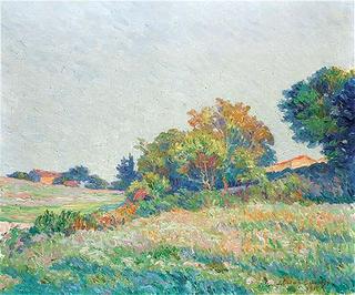 Rural Landscape