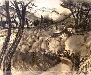 Trees in Provence