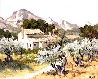 Olive Trees in Provence