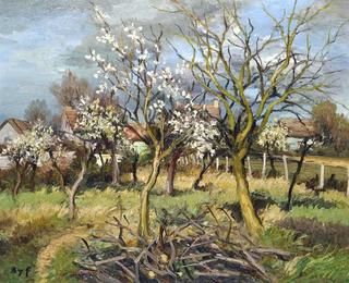Flowering Orchard