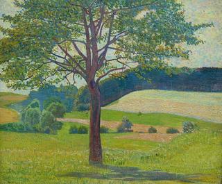 Swiss landscape