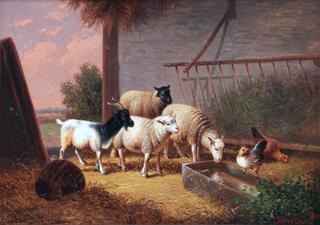 Sheep, Goat and Chickens in the Stable