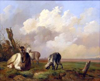 A Goat with Two Kids in a Field
