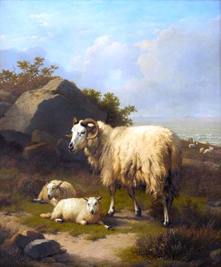 Mountain Goats at Rest