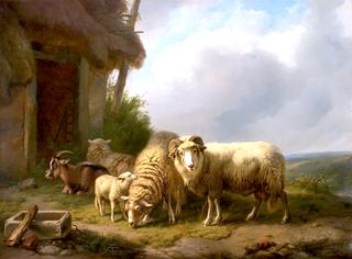Sheep and Goats by a Barn