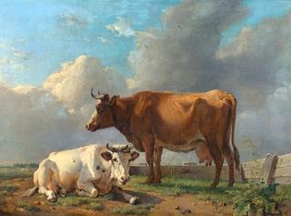 Cows at a Pasture Fence