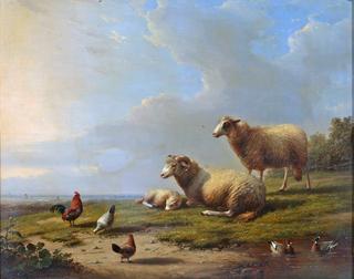 Sheep with Chickens and Ducks in the Countryside
