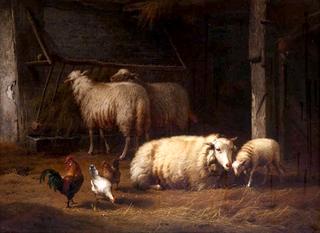 Sheep, Rooster, and Chickens in a Stable