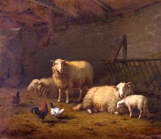 Sheep with Chickens