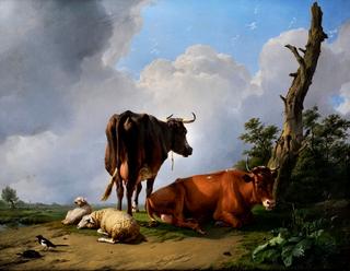 Cows and Sheep in the Afternoon Sun