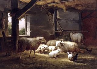 Sheep and Chickens in a Stable