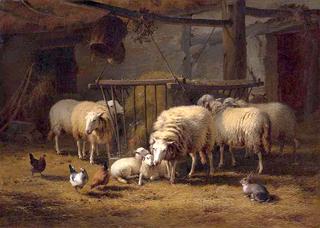 In the Barn