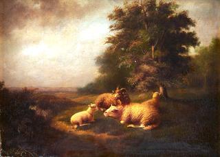 Sheep in a Meadow