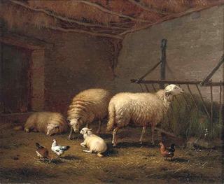 Sheep in the Stable