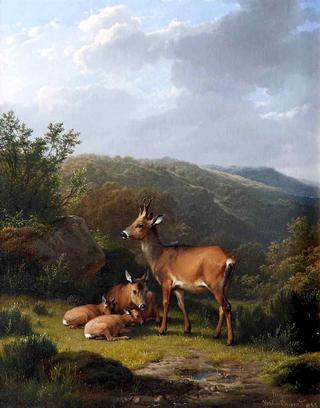 A Family of Deer Resting