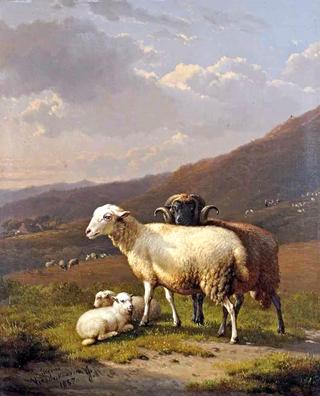 Sheep in a Mountainous Landscape
