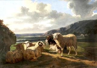 Sheep in a Landscape