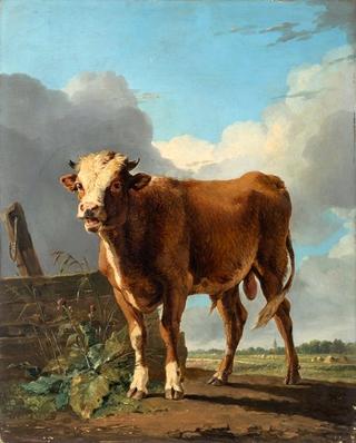 Bull