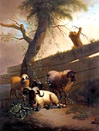 Sheep Resting under a Tree
