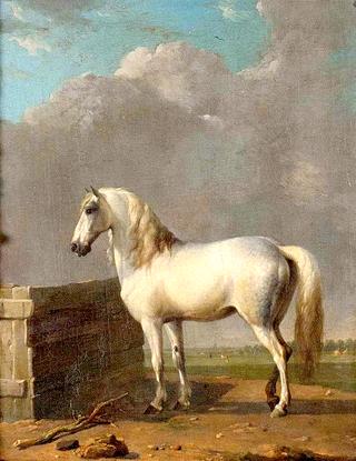 A White Horse in a Landscape