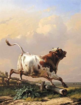 The Bull