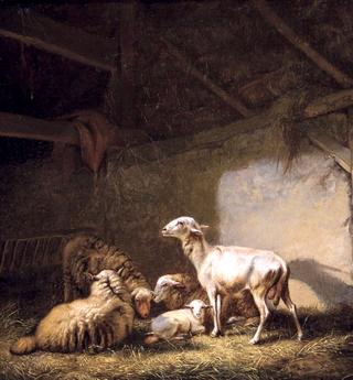 Sheep in a Stable