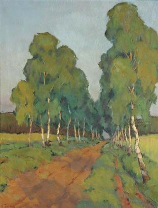 Tree Lined road